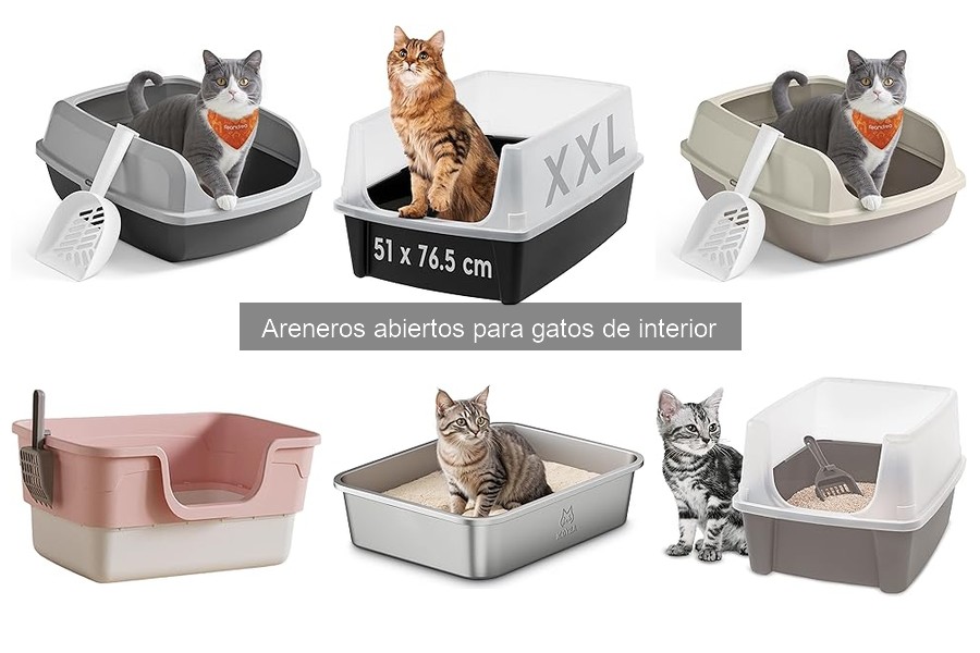 Mejores areneros abiertos para gatos en 2023: comparativa