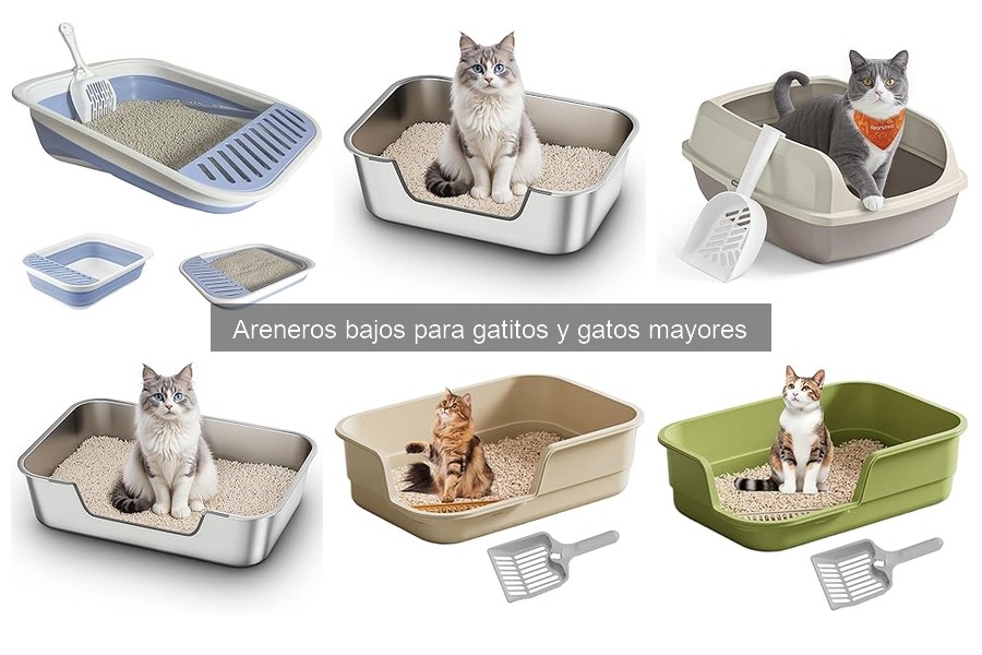Mejores areneros bajos para gatitos en 2023: Guía de compra