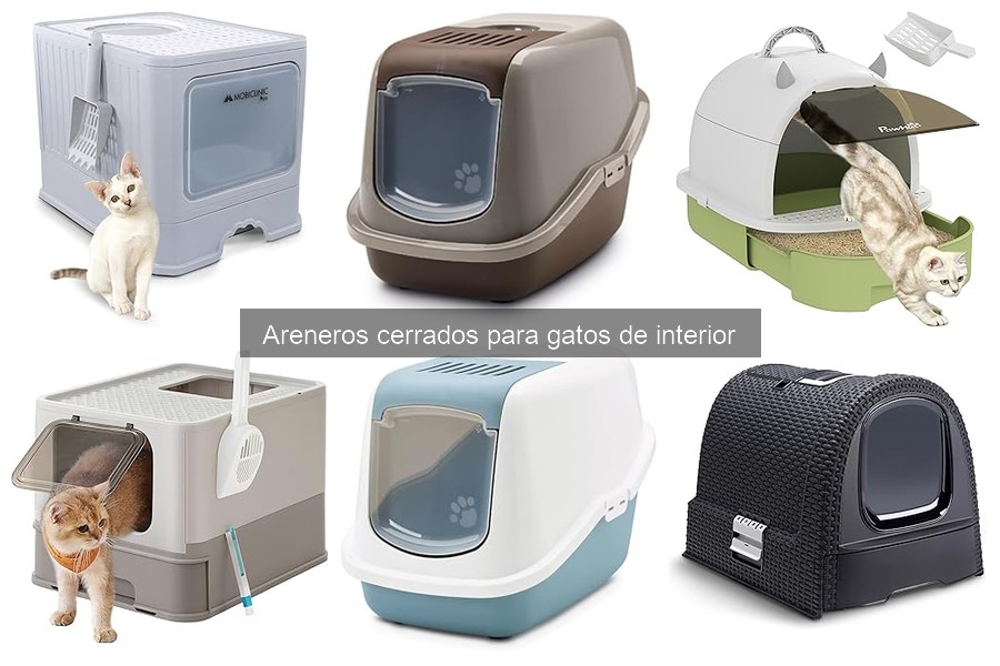 Mejores areneros cerrados para gatos en 2023