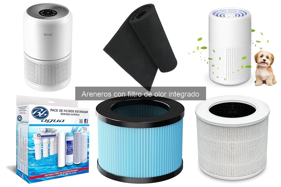 Mejores areneros con filtro de olor según opiniones de usuarios