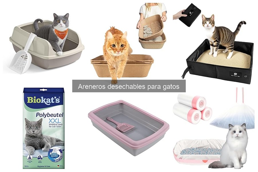 Mejores areneros desechables para gatos en 2023