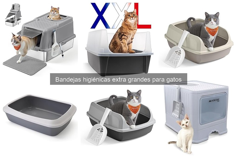 Mejores bandejas higiénicas extra grandes para gatos 2023