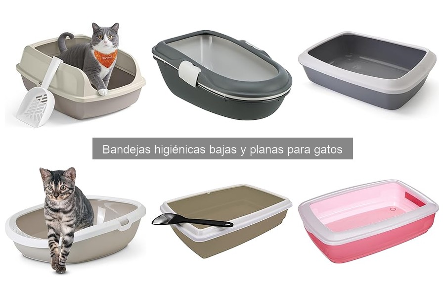 Mejores bandejas higiénicas planas para gatos en 2023