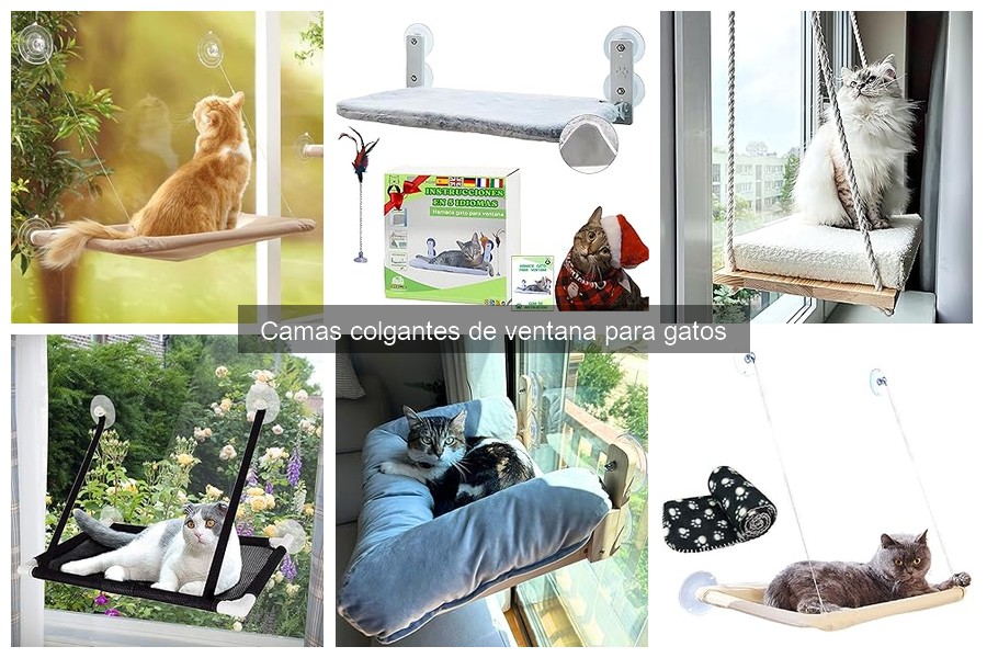 Mejores camas colgantes de ventana para gatos en 2023