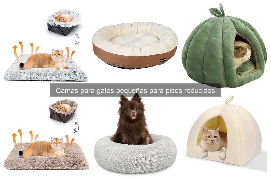Mejores camas para gatos pequeñas en espacios reducidos
