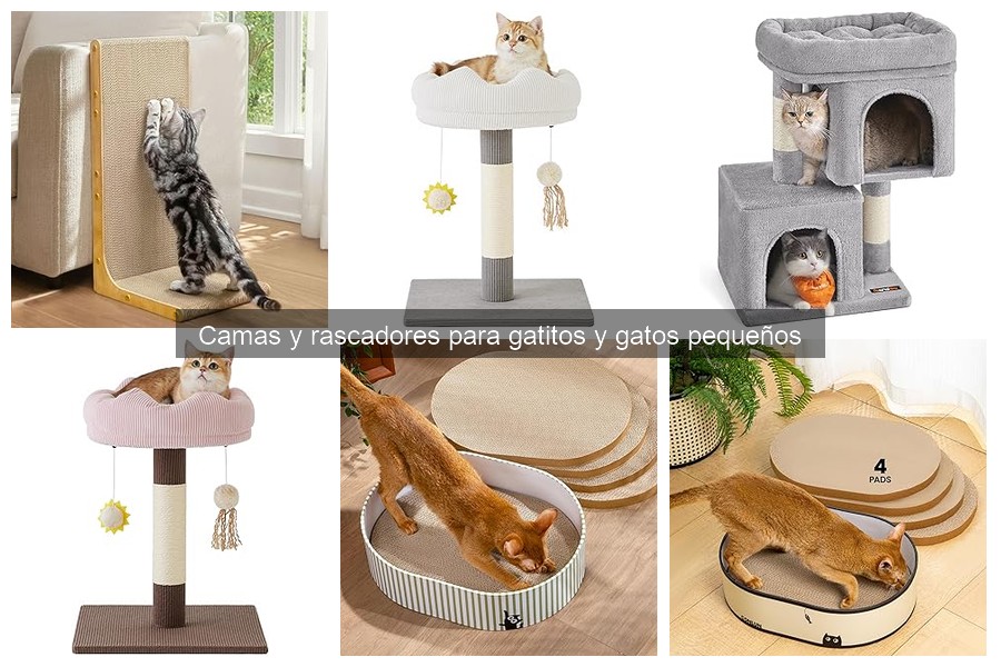 ** Mejores camas para gatos pequeños en pisos pequeños