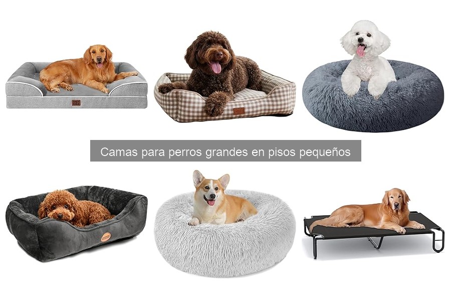 Mejores camas para perros grandes en pisos pequeños