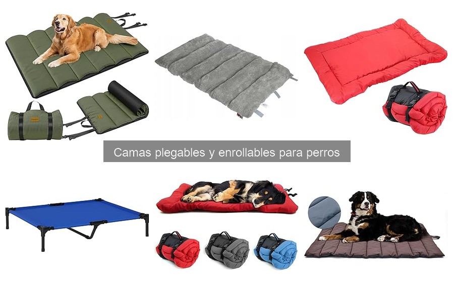 Mejores camas plegables para perros: guía según tamaño y raza