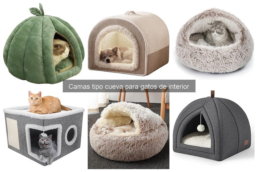 Mejores camas tipo cueva para gatos en pisos pequeños