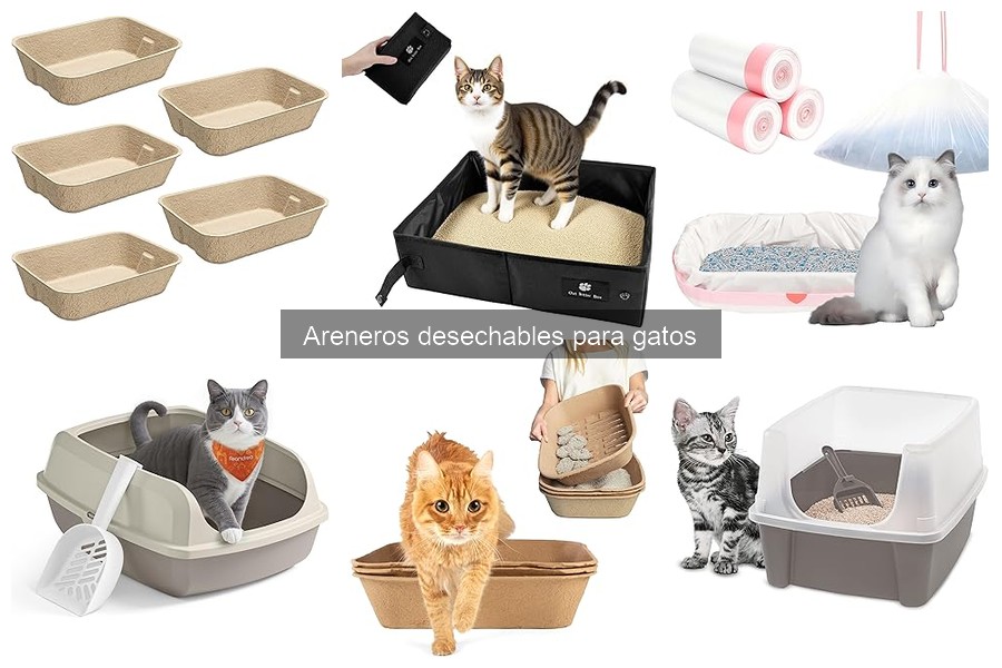 Mejores consejos para el cuidado de areneros desechables para gatos