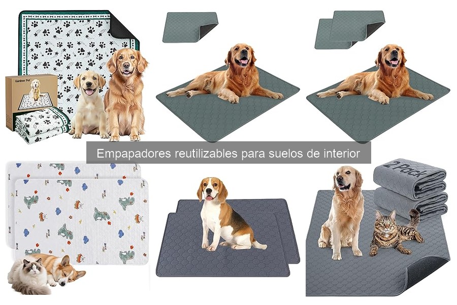 Mejores empapadores reutilizables para hogares con mascotas