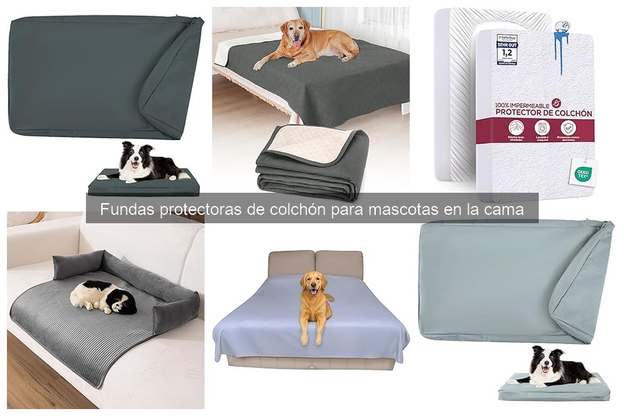 Mejores fundas protectoras de colchón para mascotas 2023