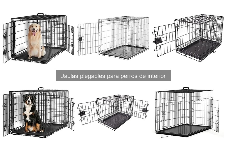 Mejores jaulas plegables para perros pequeños: comparativa 2023