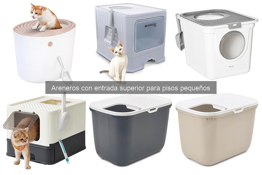 Mejores lugares para comprar areneros con entrada superior