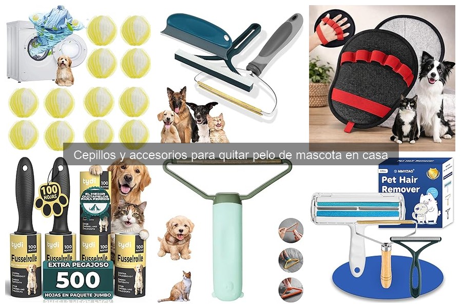 Mejores lugares para comprar cepillos para quitar pelo de mascota