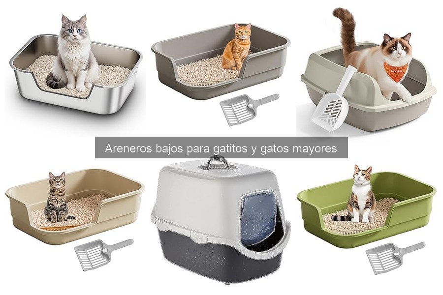 Mejores prácticas para el cuidado de areneros bajos de gatos