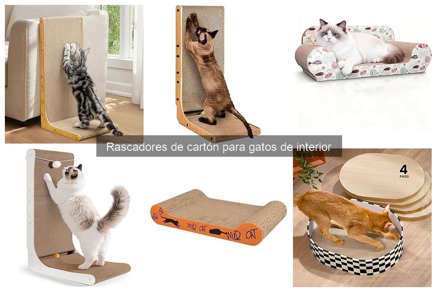 Mejores rascadores de cartón para gatos en pisos pequeños