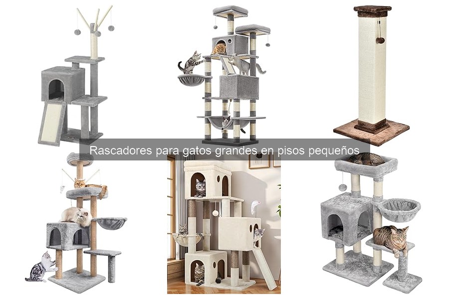 Mejores rascadores para gatos grandes en espacios reducidos