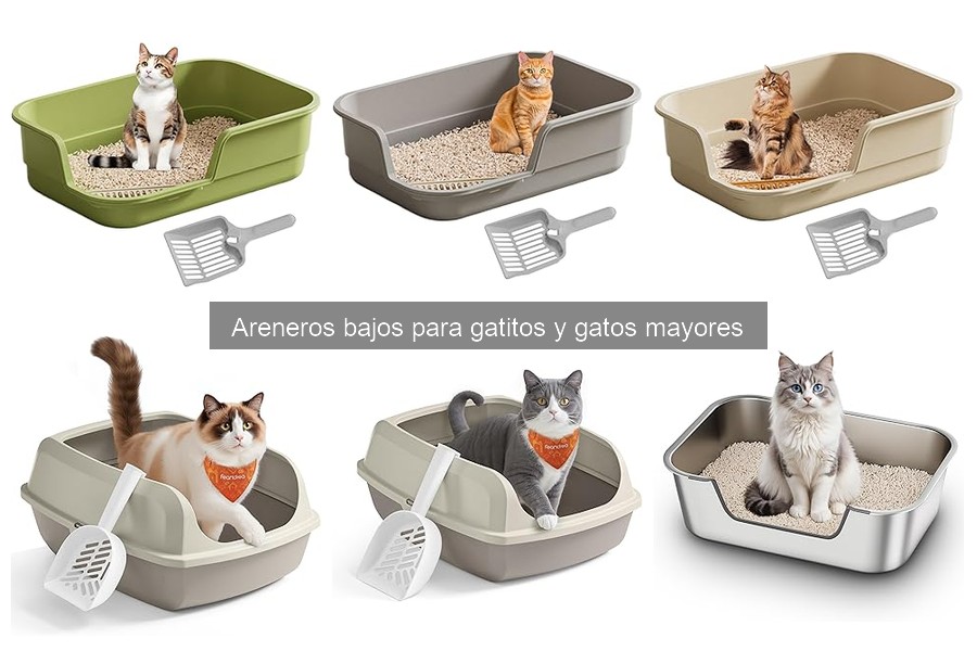 Mejores tiendas para comprar areneros bajos para gatos