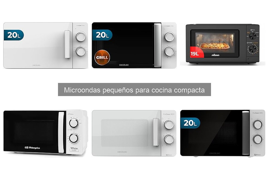 Microondas pequeños para descongelar alimentos fácilmente