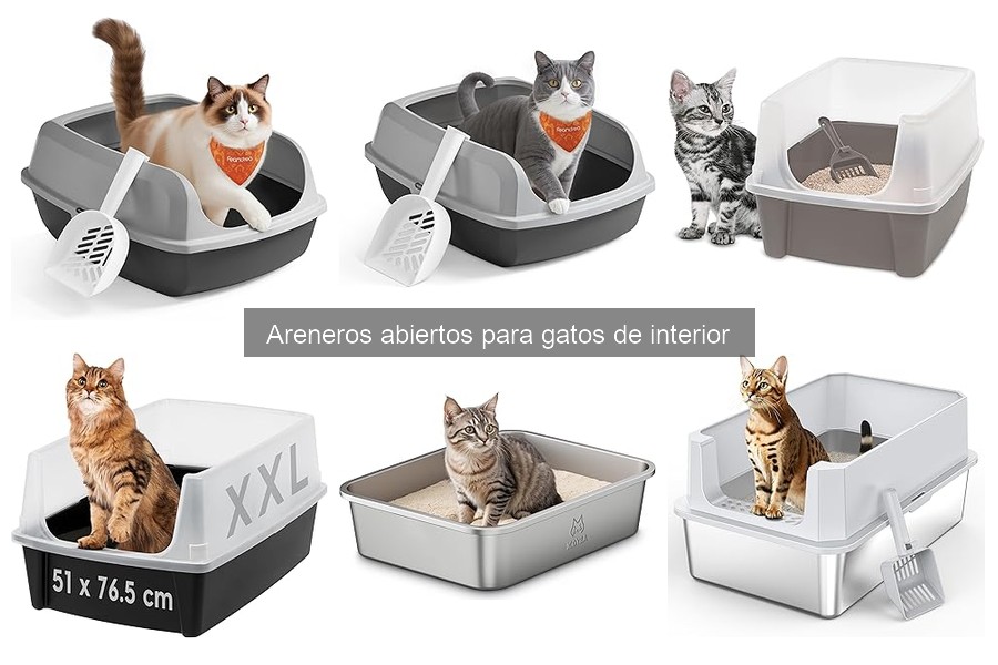 Ofertas en areneros abiertos para gatos: promoción destacada