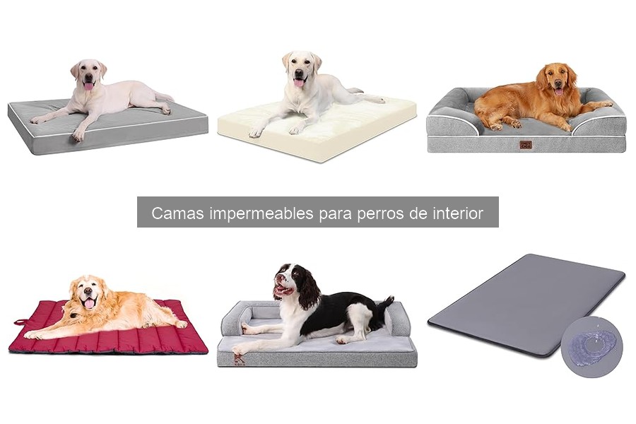 Ofertas en camas impermeables para perros: ¡ahorra hoy!