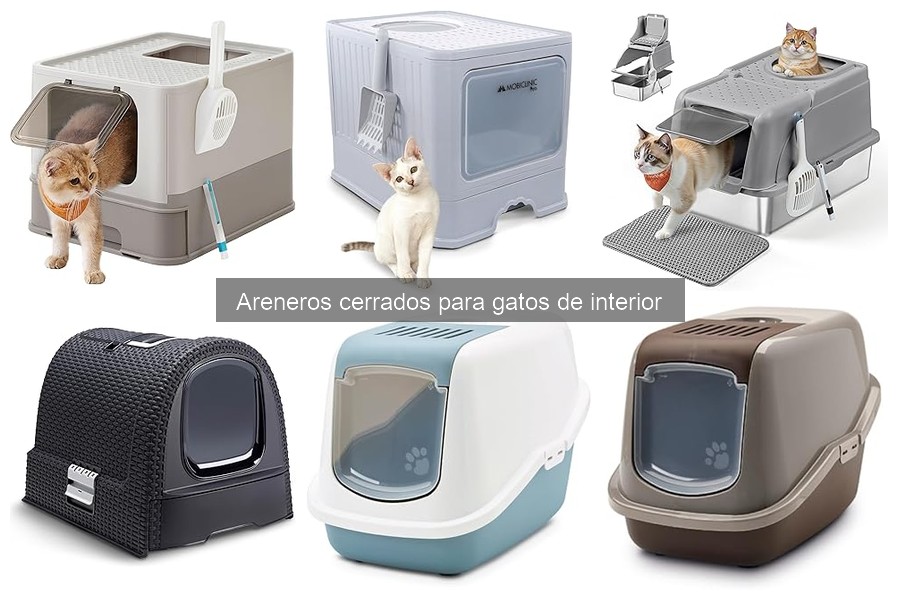 Ofertas y precios de areneros cerrados para gatos