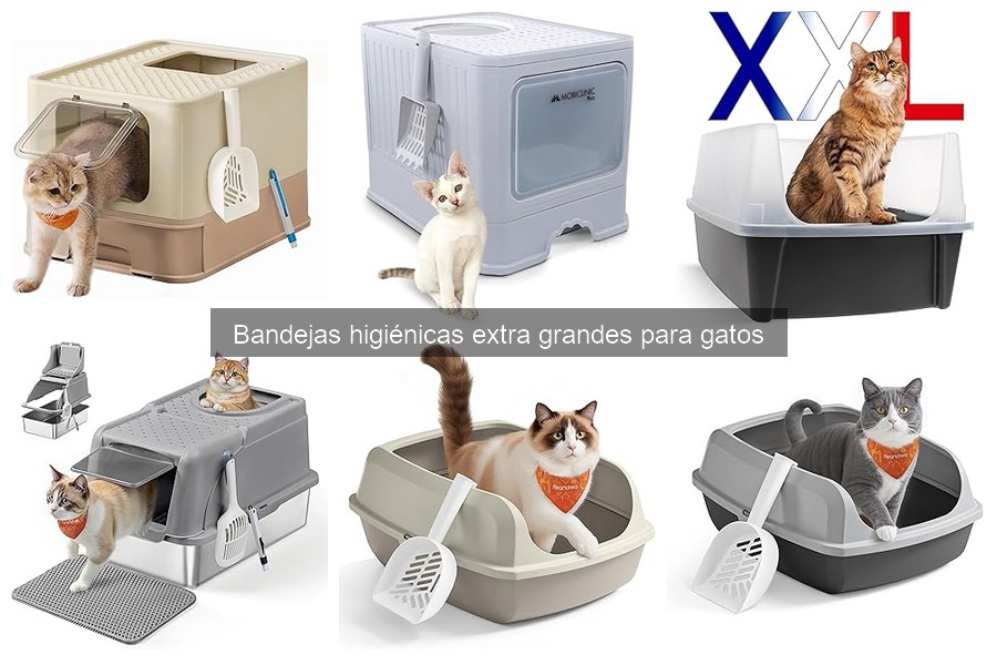 Ofertas y precios de bandejas higiénicas extra grandes para gatos