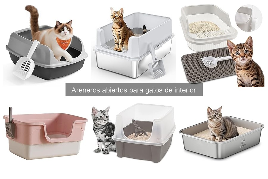 Opiniones sobre areneros abiertos para gatos de interior