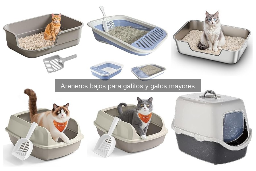 Opiniones sobre areneros bajos para gatos: experiencias reales