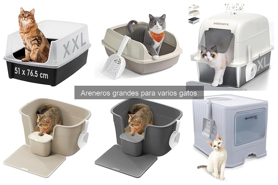 Opiniones sobre areneros grandes para varios gatos