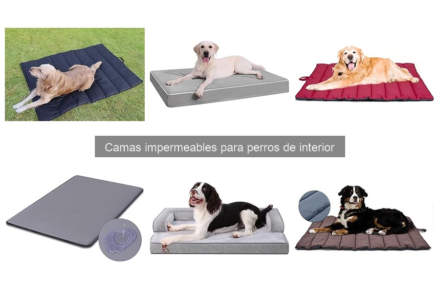 Opiniones sobre camas impermeables para perros de interior