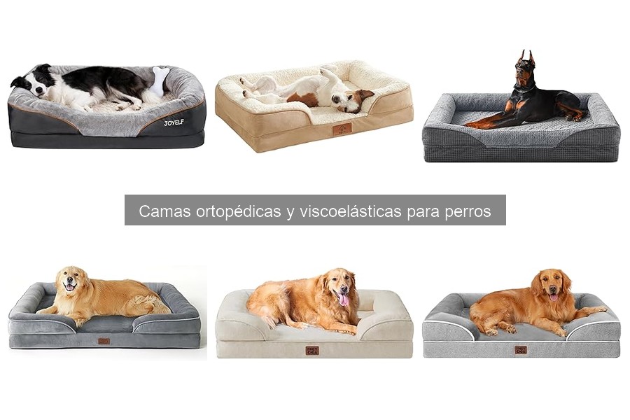 Opiniones sobre camas viscoelásticas para perros: análisis