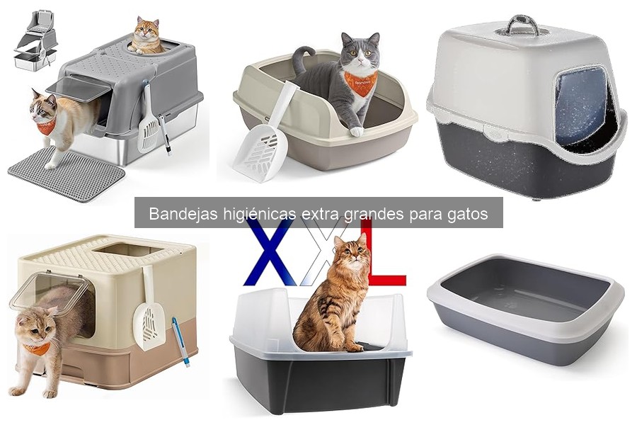 ¿Por qué elegir una bandeja higiénica extra grande para varios gatos?