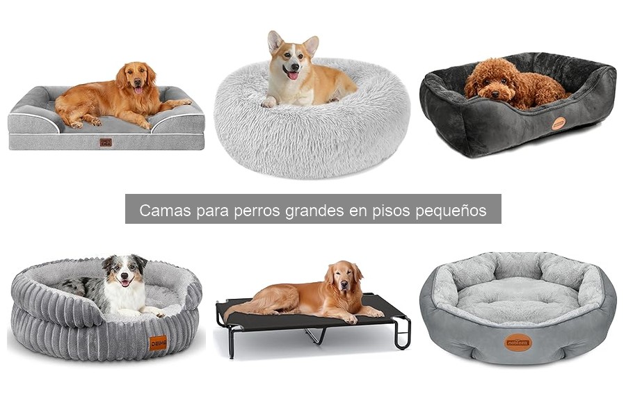 Precio promedio de camas para perros grandes en pisos pequeños