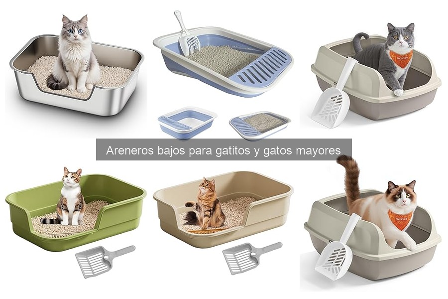 Precios de Areneros Bajos para Gatos: Guía de Ejemplos y Costos