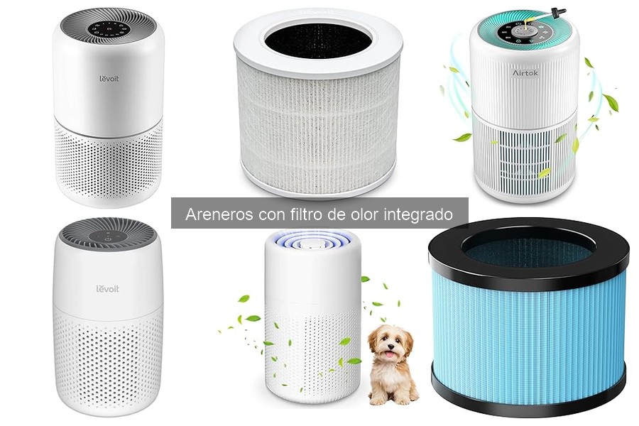 Precios de areneros con filtro de olor: guía de compras