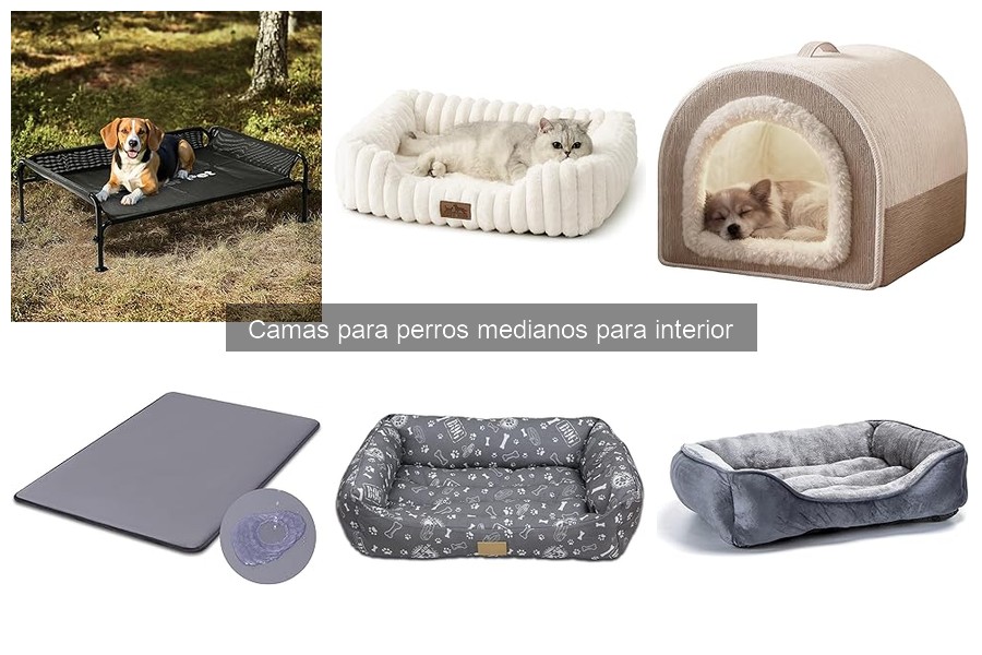 Precios de camas para perros medianos: guía de ofertas