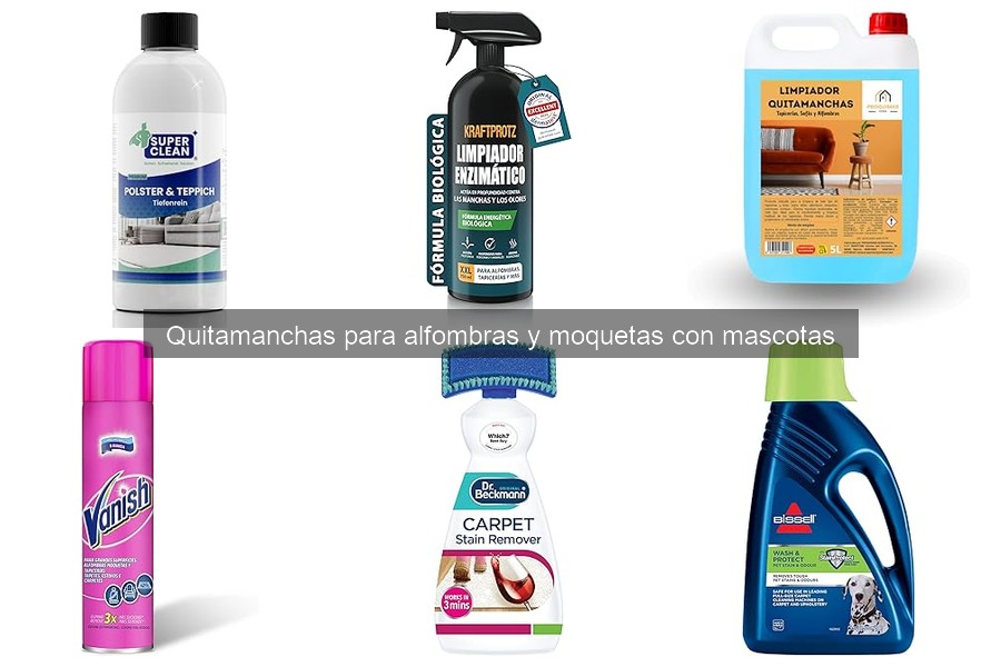 Prevención de manchas en alfombras con mascotas: mejores prácticas
