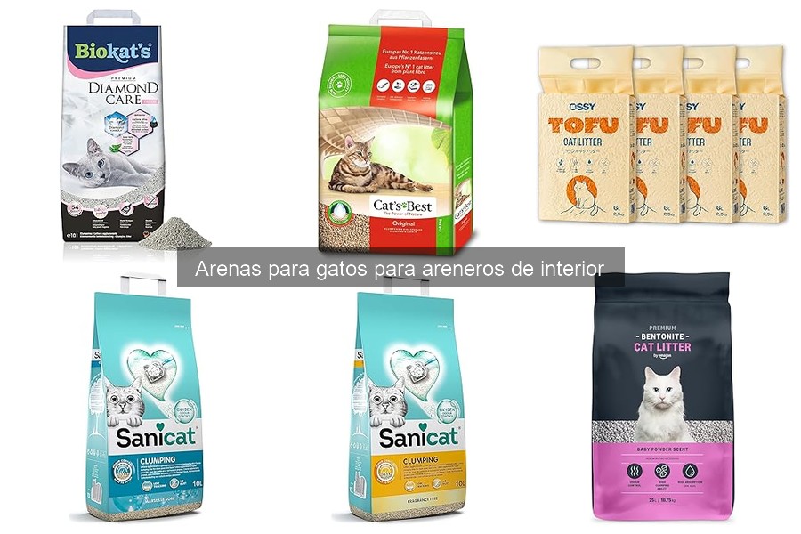 Problemas Comunes al Usar Arenas para Gatos y Soluciones
