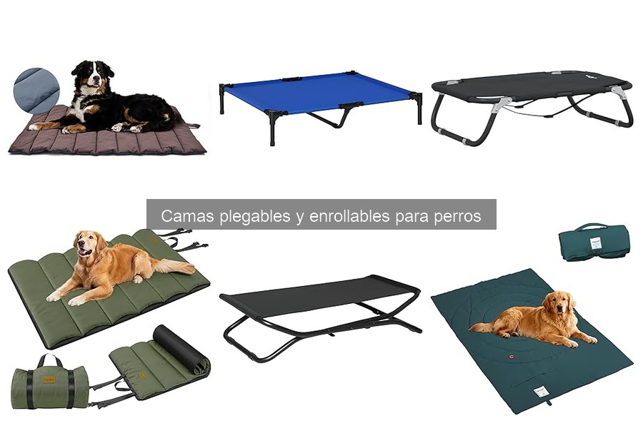 Problemas comunes al usar camas plegables para perros