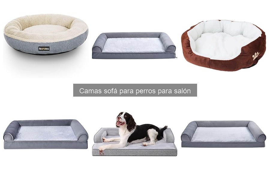 Problemas comunes al usar camas sofá para perros en el hogar