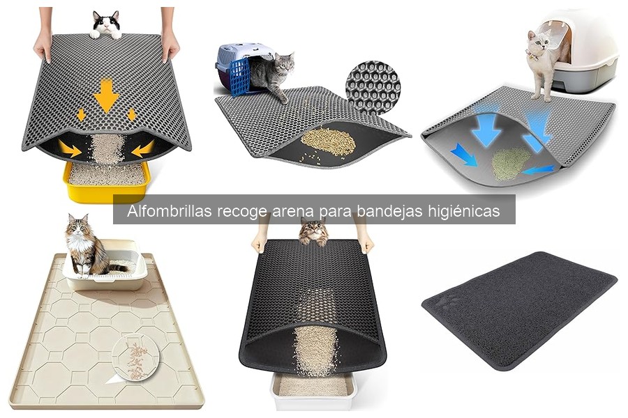 Problemas comunes con alfombrillas recoge arena para gatos