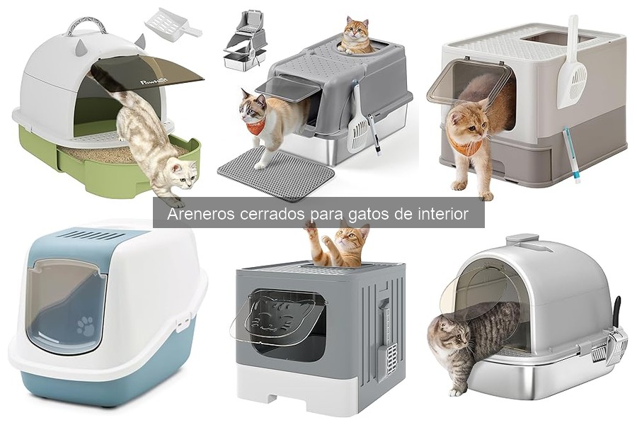 Problemas comunes con areneros cerrados para gatos
