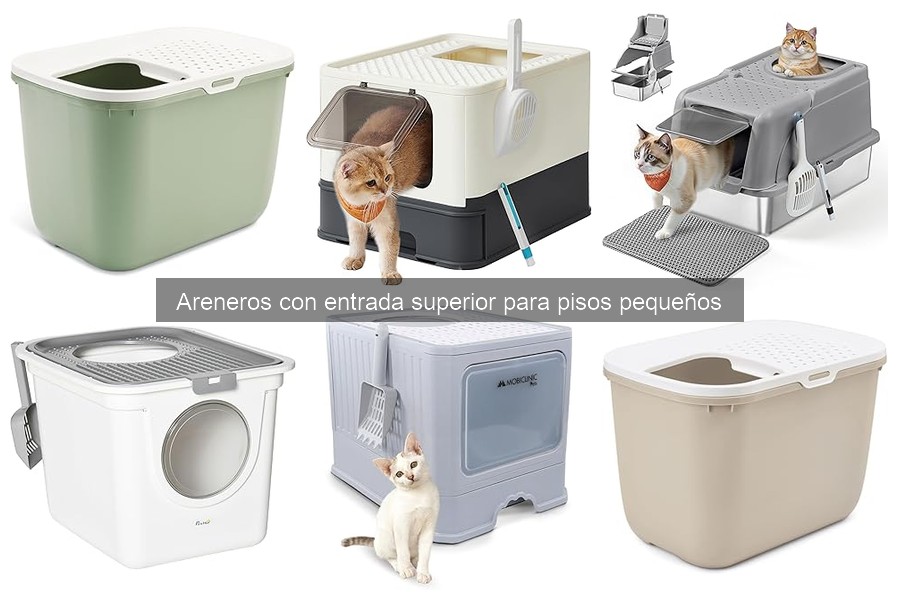 Problemas comunes con areneros de entrada superior y soluciones