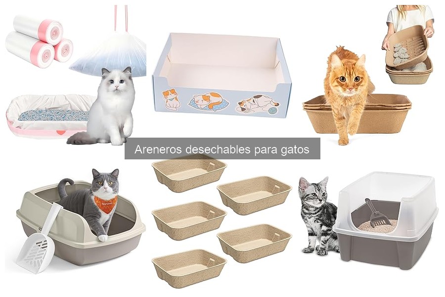 Problemas comunes con areneros desechables y soluciones