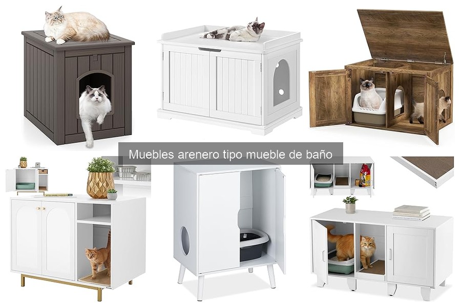 Problemas comunes con areneros tipo mueble de baño