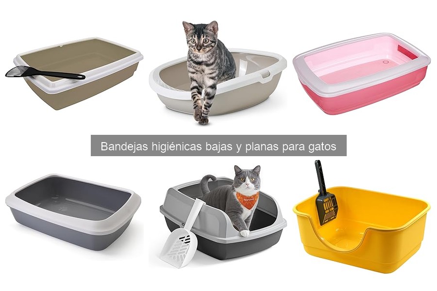 Problemas comunes con bandejas higiénicas para gatos y soluciones