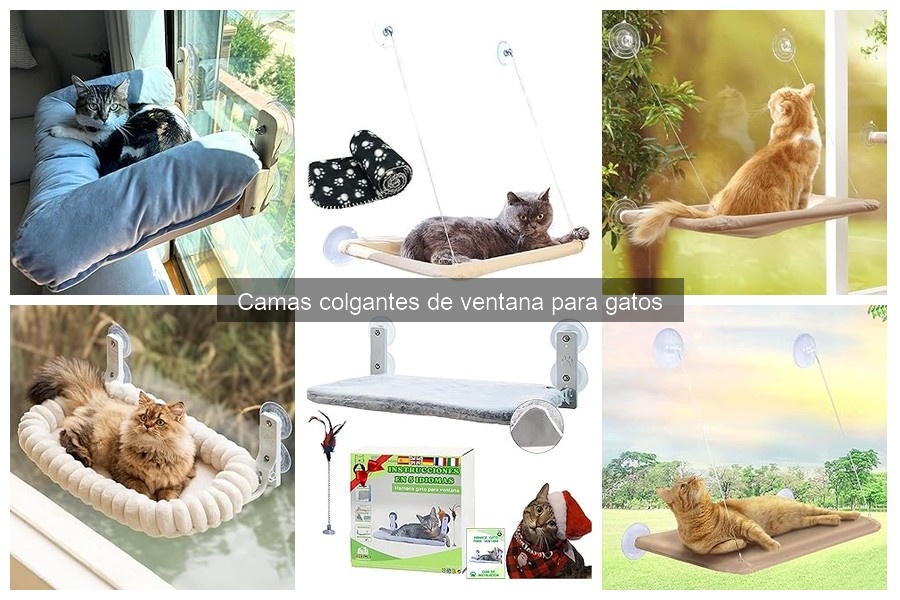 Problemas comunes con camas colgantes de ventana para gatos