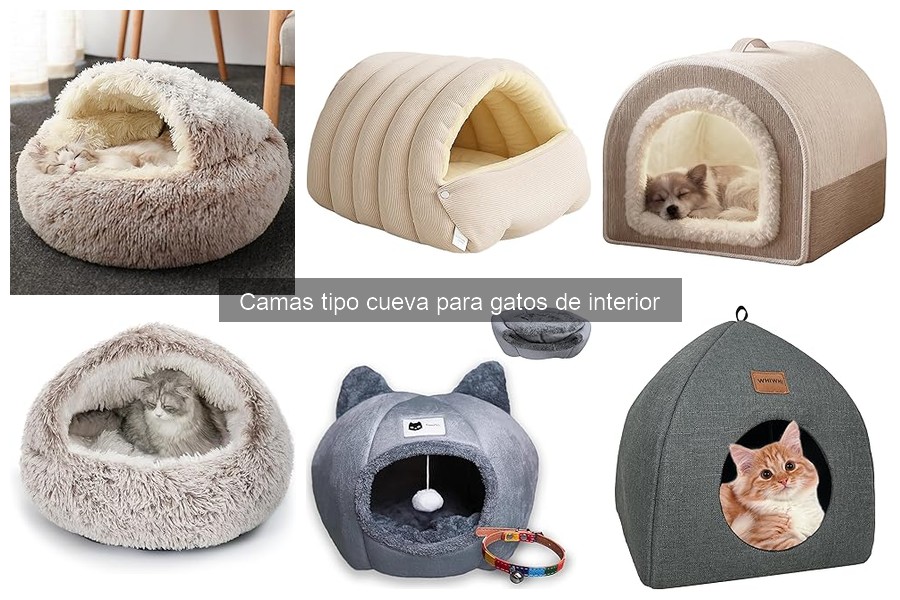 Problemas comunes con camas tipo cueva para gatos